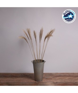 GloboStar® MISCANTHUS 36538 Αποξηραμένο Φυτό Μίσχανθος - Μπουκέτο Διακοσμητικών Κλαδιών Μπεζ Υ120cm - Σετ 10 τμχ